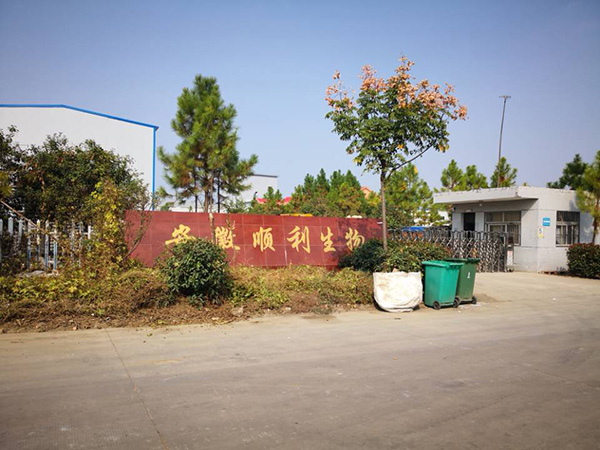 安徽順利生物有限公司冷水機組系統(tǒng)實景展示