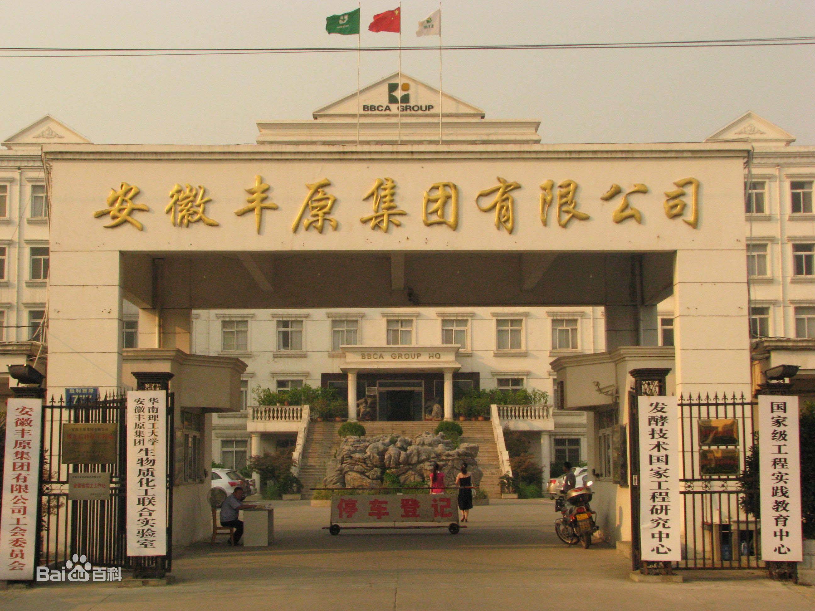 安徽豐原集團有限公司低溫冷水機組系統(tǒng)實景