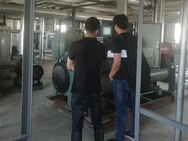 恒星世季五月回訪月正式開始